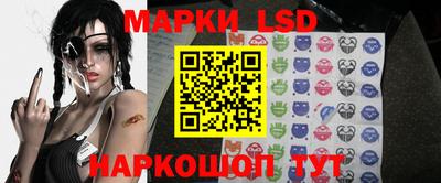 МДПВ Новозыбков