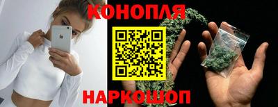 МДПВ Новозыбков