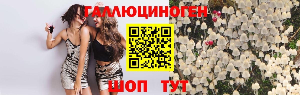 как найти закладки  Галлюциногенные грибы прущие грибы  Вход с VPN  Ставрополь  Галлюциногенные грибы MAGIC MUSHROOMS 